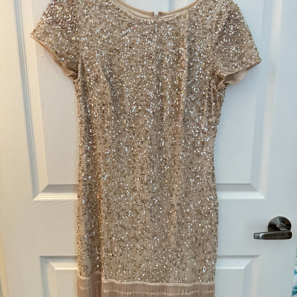 Rose Gold Sequin cocktail Dress with fringe on the bottom - Picture 5 of 9